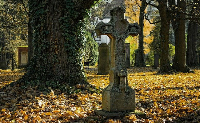 <h1>Finding our ancestors is exciting!</h1><p>We hope we help you find your spot in our family</p>
 						<p><a class='btn-small' href='https://www.linkiingtrees.family/browsemedia.php?mediatypeID=histories'>Histories</a></p>