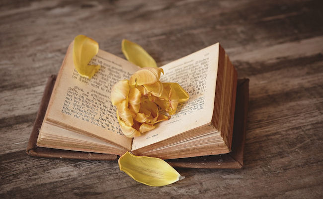 <h1>Sharing information is what we do.</h1><p>If you find something we don't have, please share with us.</p>
						<p><a class='btn-small' href='https://www.linkiingtrees.family/browsemedia.php?mediatypeID=documents'>Stories</a></p>